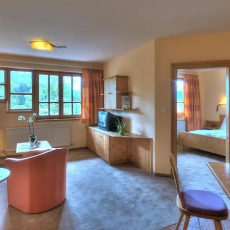 Alt Moesern Apartament